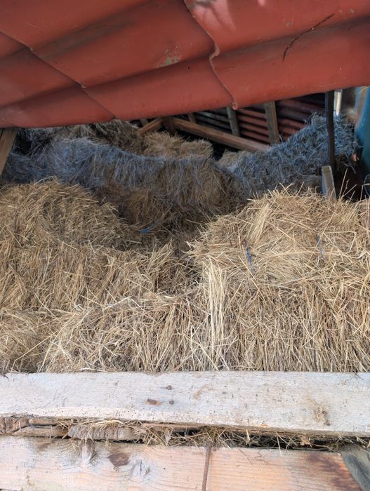 Vând baloți de fân