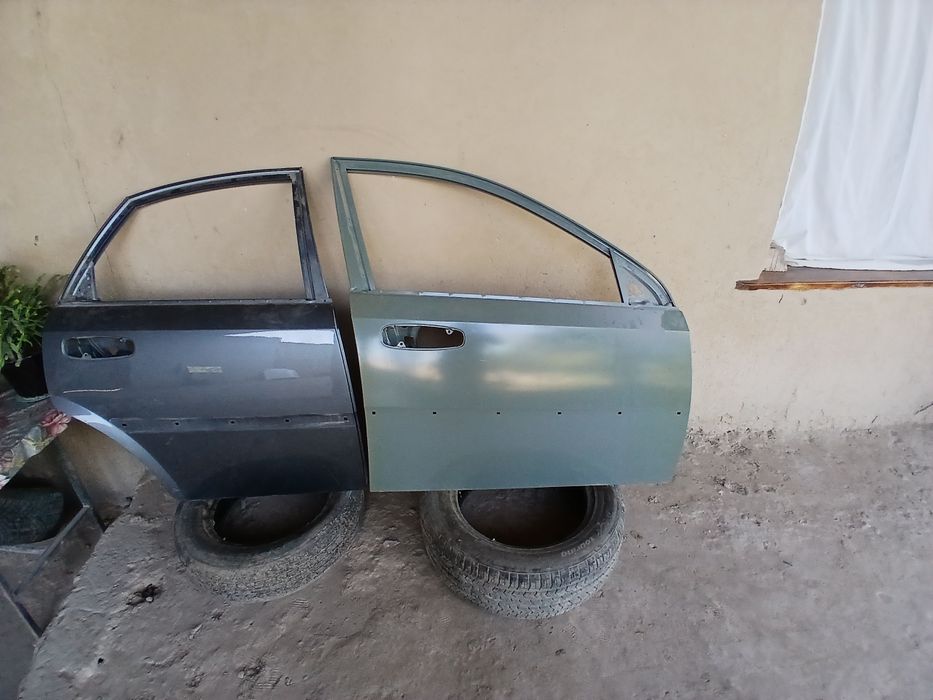 Жентра родная двери