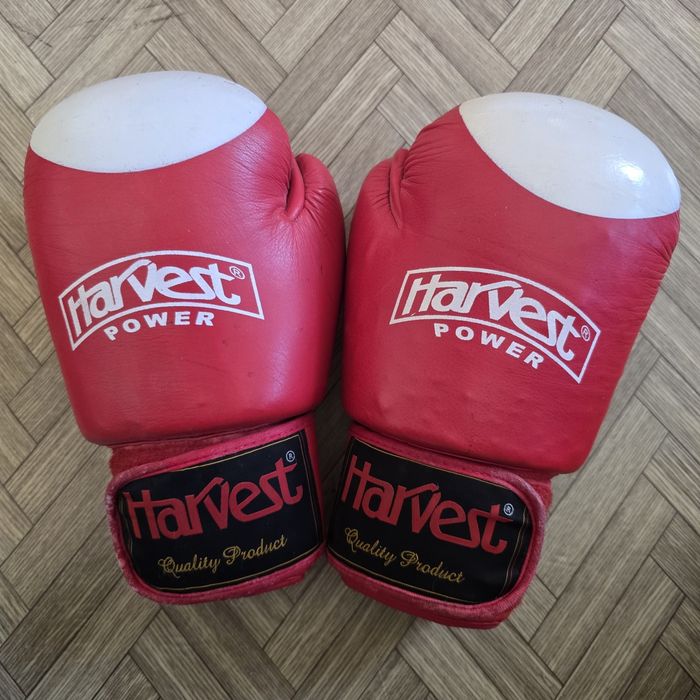 Боксёрские перчатки