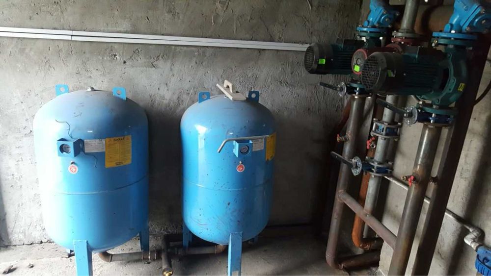 Арендага парник бор