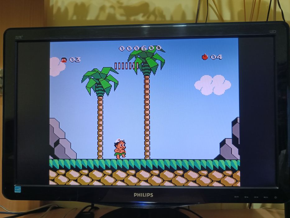 DVD PC Nintendo/Terminator 500 Jocuri