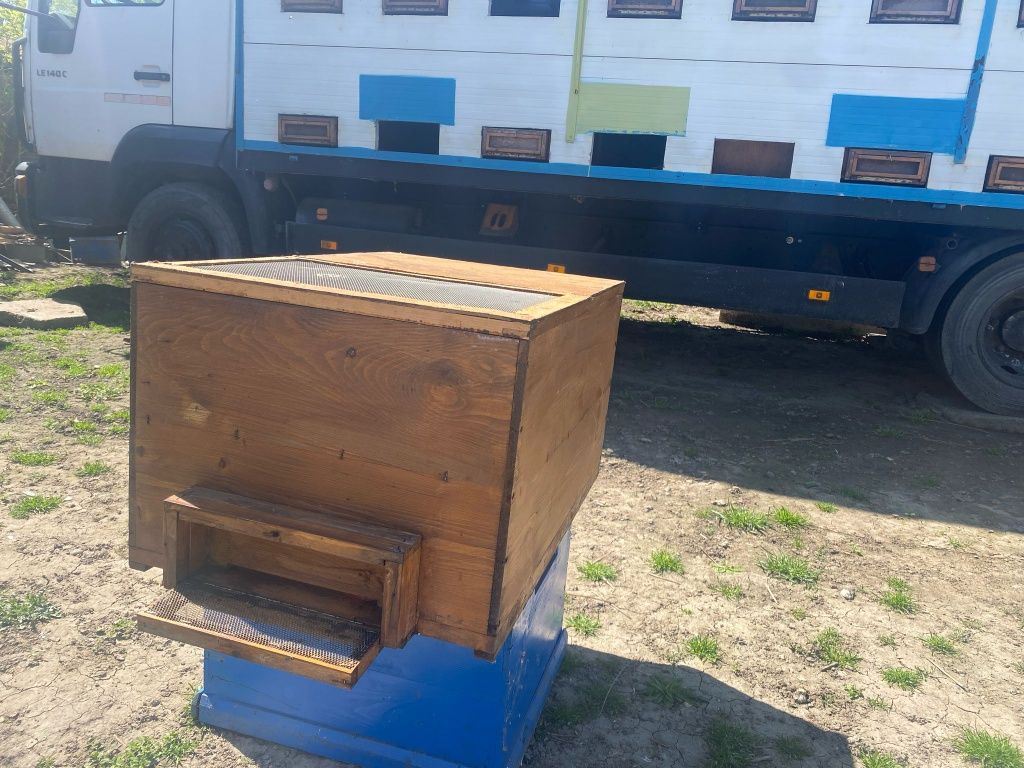Vând stupi  18 rame și colectoare polen