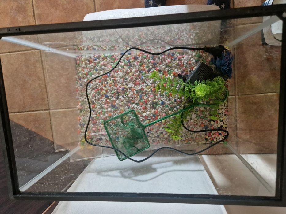 Acvariu cu accesorii