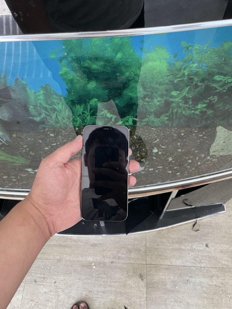 Iphone 12 pro
