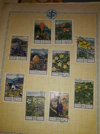 Колекция пощенски марки: Цветя на Кавказия  10 броя