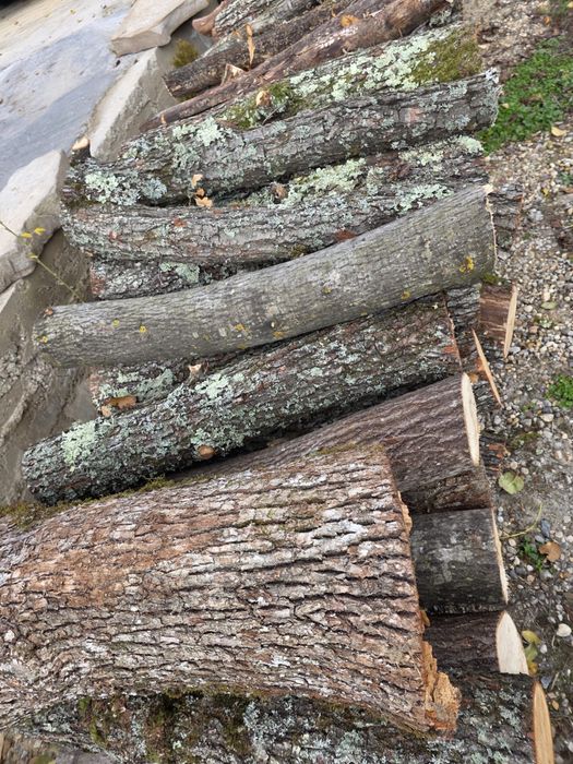 Lemn foc esenta tare la metru sau taiate si crapate