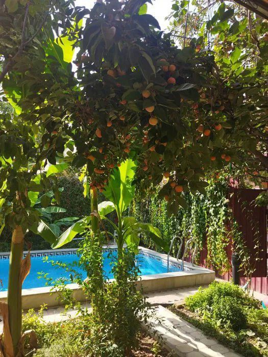 Сдам уютный дом в Центре города.Максим Горький