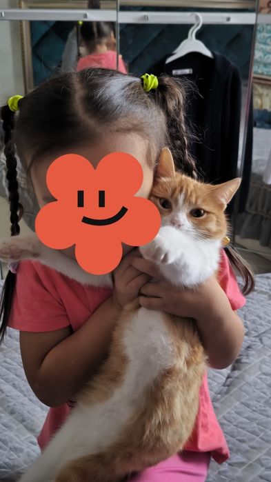 Отдам кошечку в хорошие руки