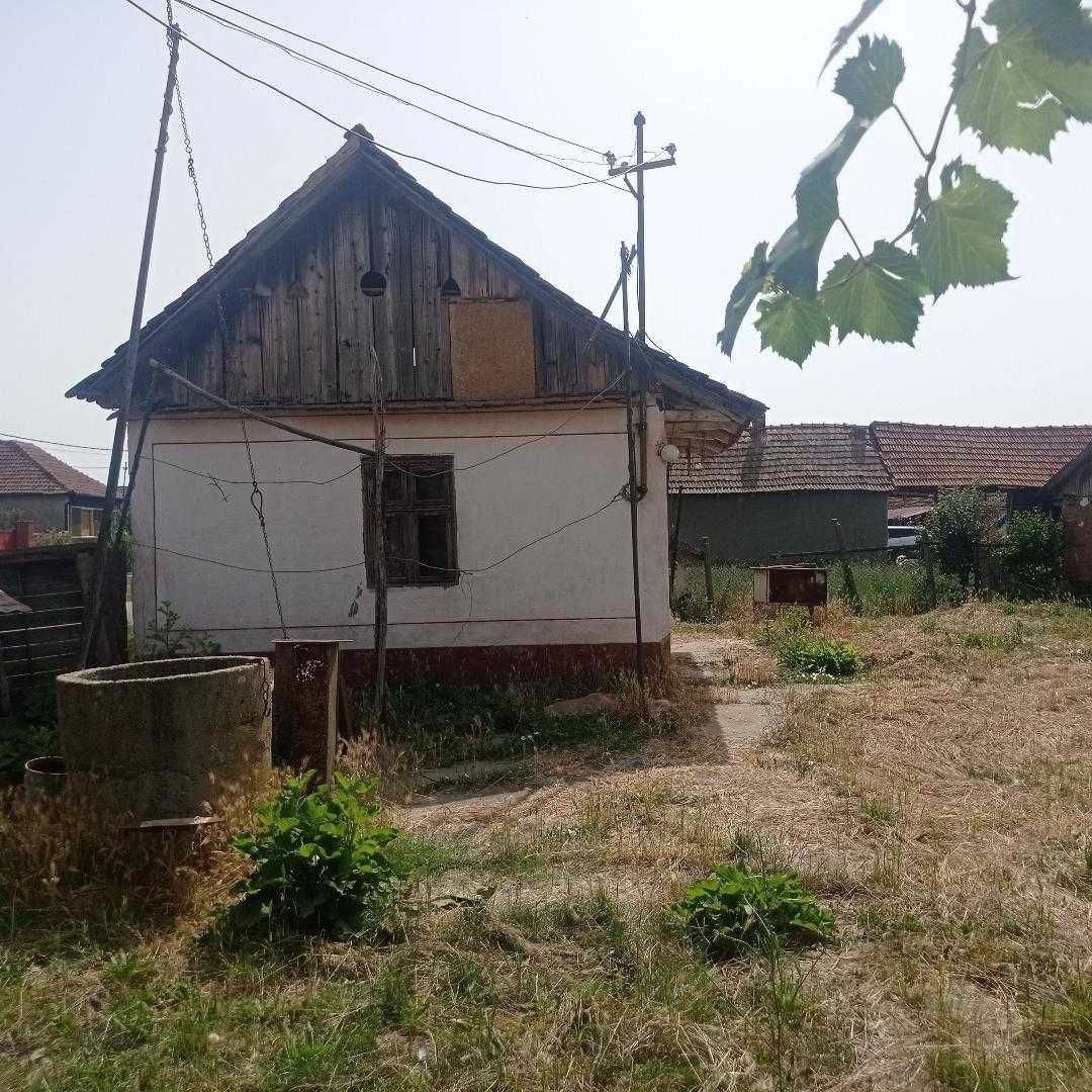 Casă de vânzare Sânnicolau Român, Bihor, 35.000 euro. NEGOCIABIL