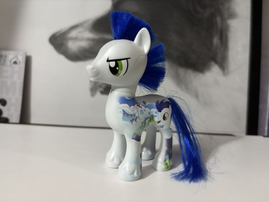 Понита, Малкото пони