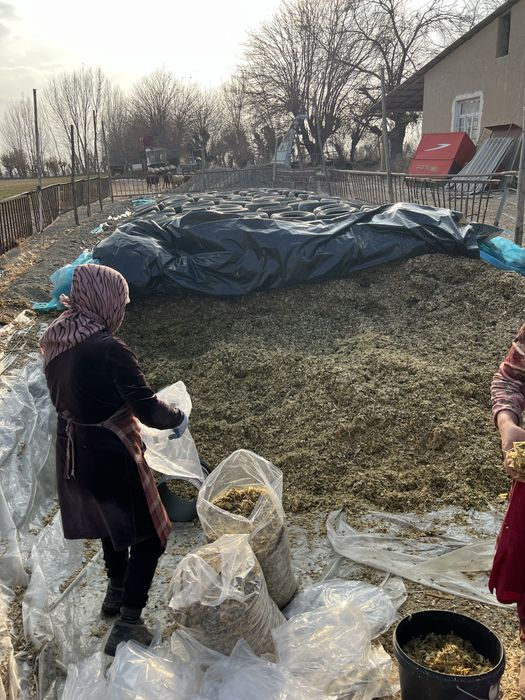 Donli silos sotiladi