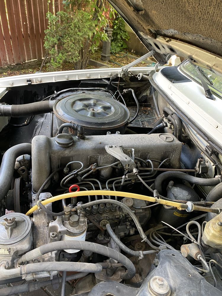 W123 mercedes alb