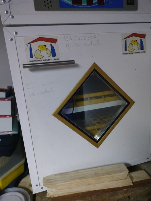 Incubator profesional