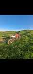 Vand cross 125cc 4timpi