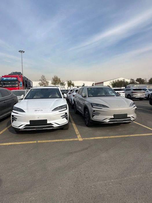 byd champion smart 25/26