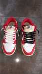Nike dunk low pro chicago