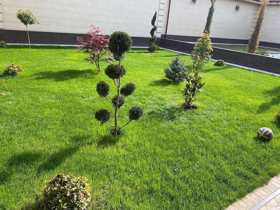 Landshaft oʻsimliklari