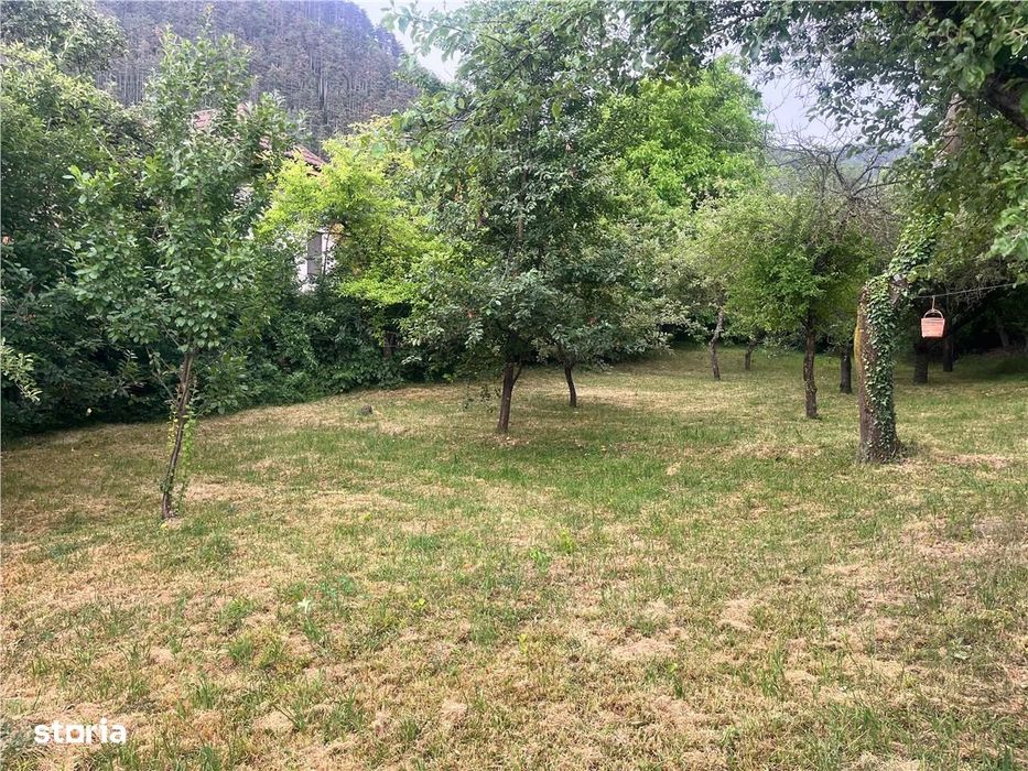 Teren 1600Mp Cu Casa 5 Camere, Scheii Brasovului