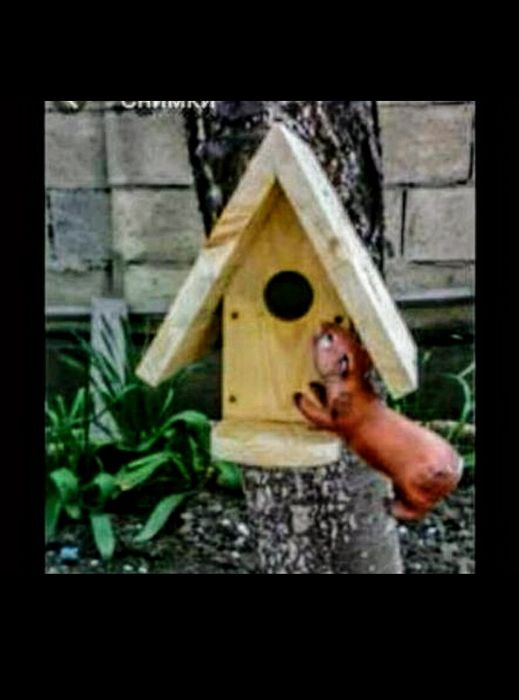 Къщички за птици