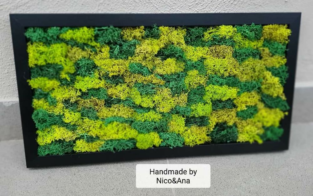 Vând aranjamente,tablouri si ceasuri cu lichieni stabilizați