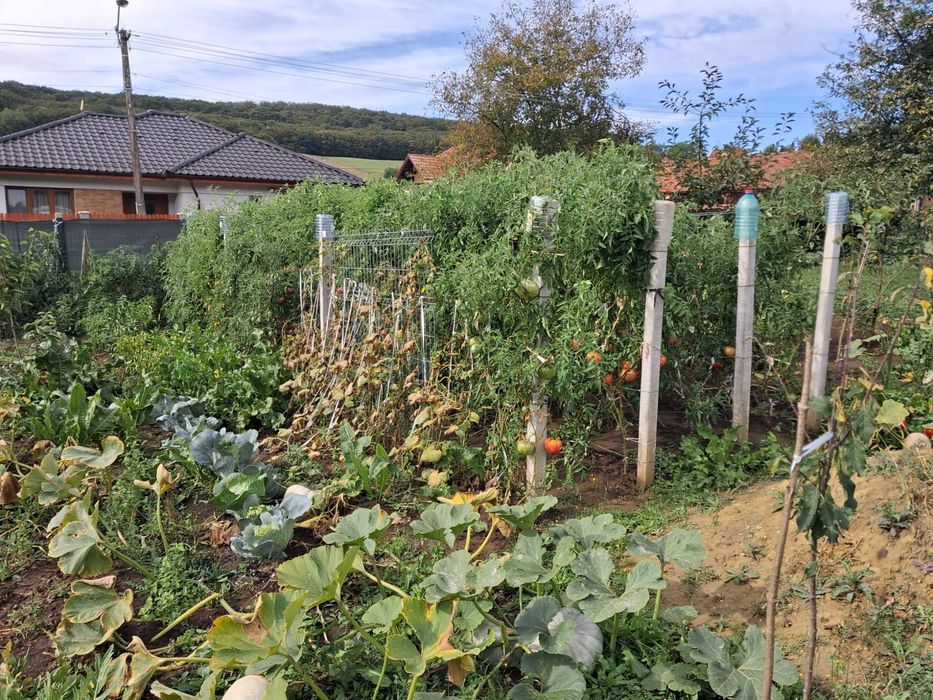 Teren intravilan de vanzare TG Mures