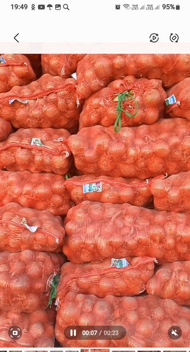 Лук хорошего качества.