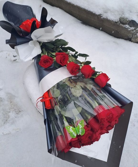 25роз метровые Голландия