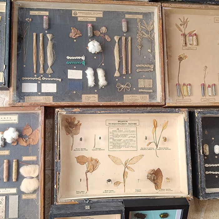 Учебни модели по Биология и география в дървена рамка със стъкло