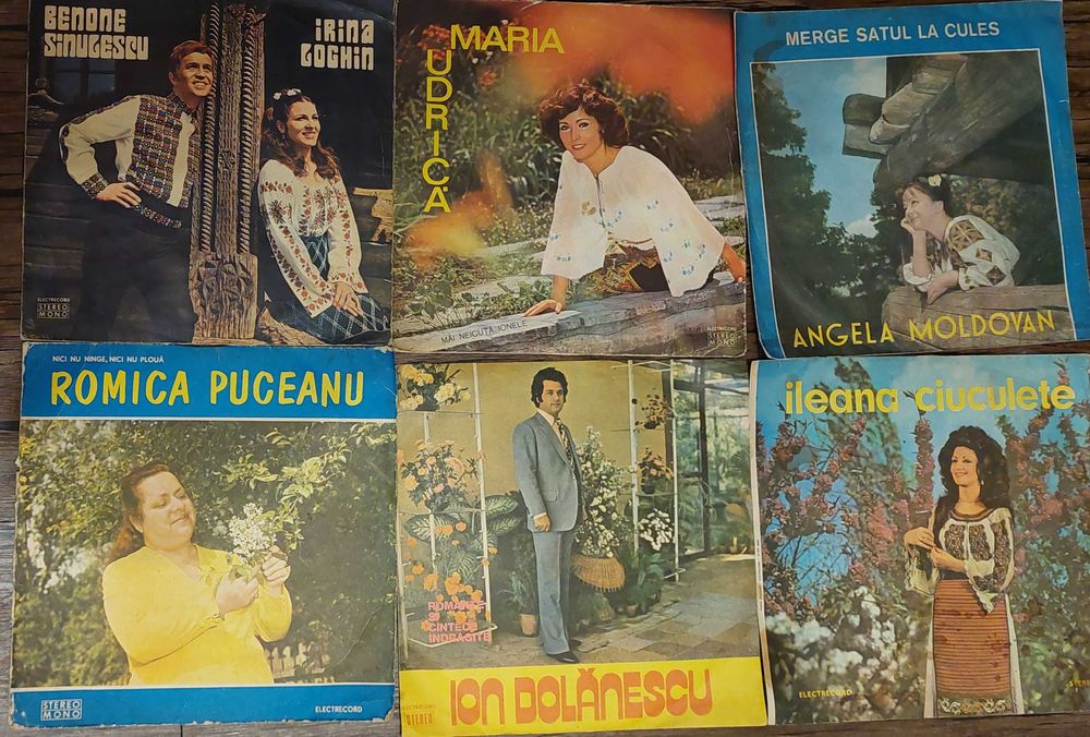 Vand viniluri diverse
