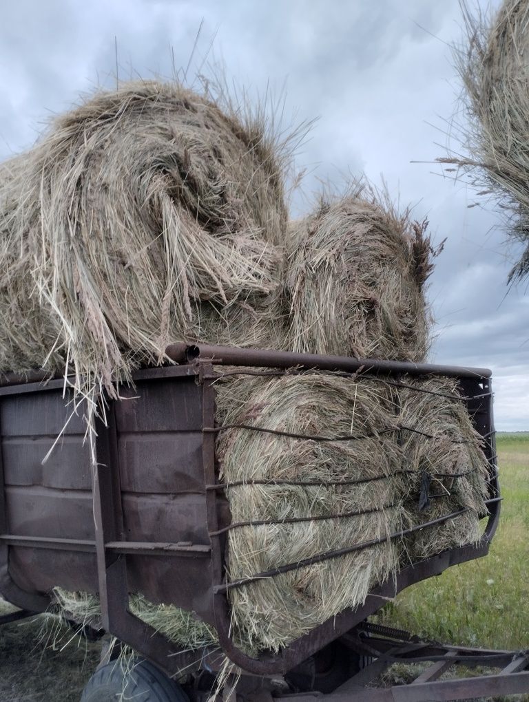 Сено разнотравье