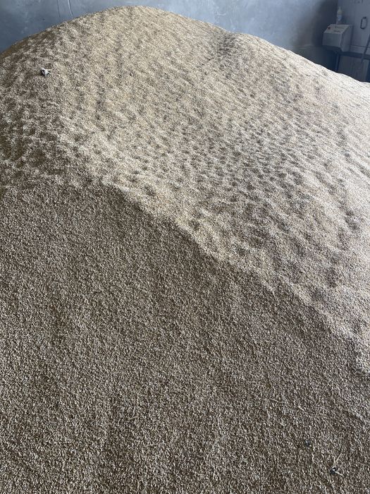 Vând orz ambalat la sac