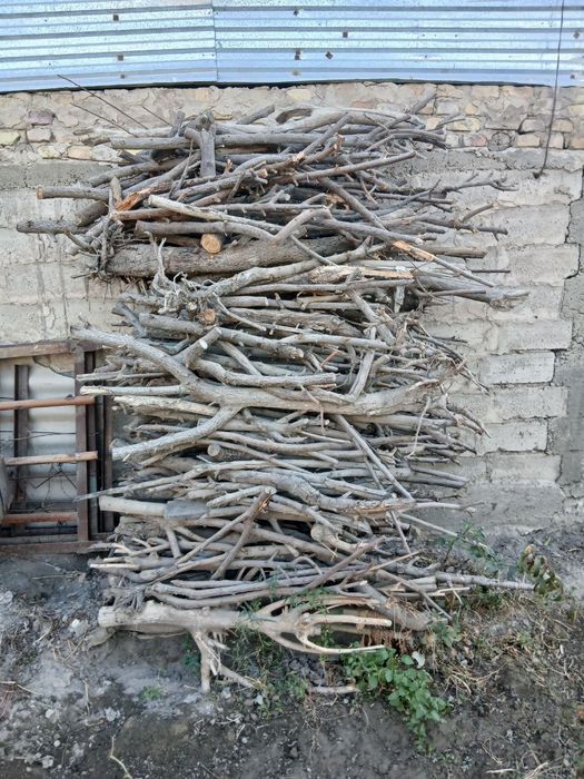 Qish fasli uchun tarosha