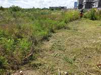 Curatare strat vegetativ teren