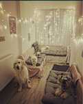 Pet sitter/ bona animale de companie