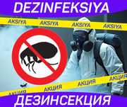 Dezinfeksiya dezenfeksiya dizinfeksiya Обработка от тараканов клопов
