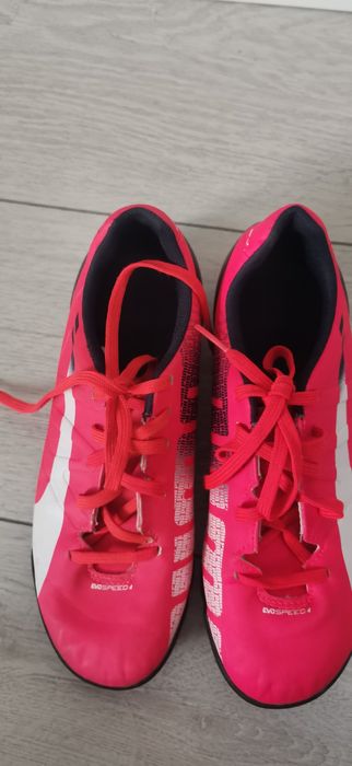 Розови стоножки на пума