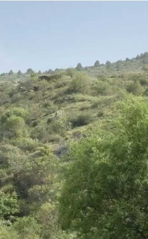 Qulay joydan ajoyib DARCHA  uchun yer sotiladi srochni