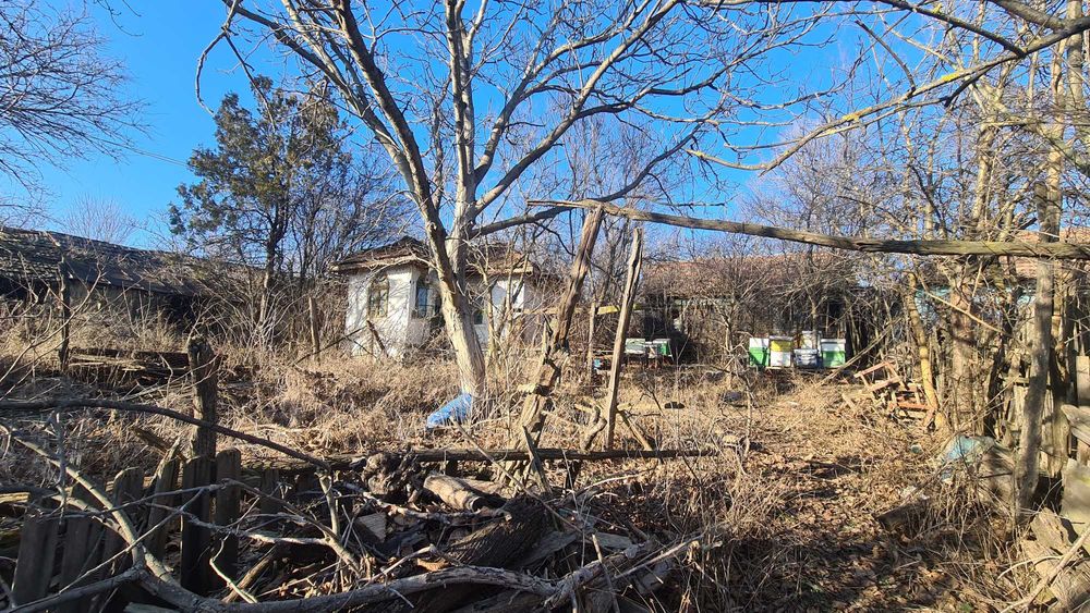 Teren - casa demolabila Terpezita - Dolj , 1100 mp - deschidere 35 m