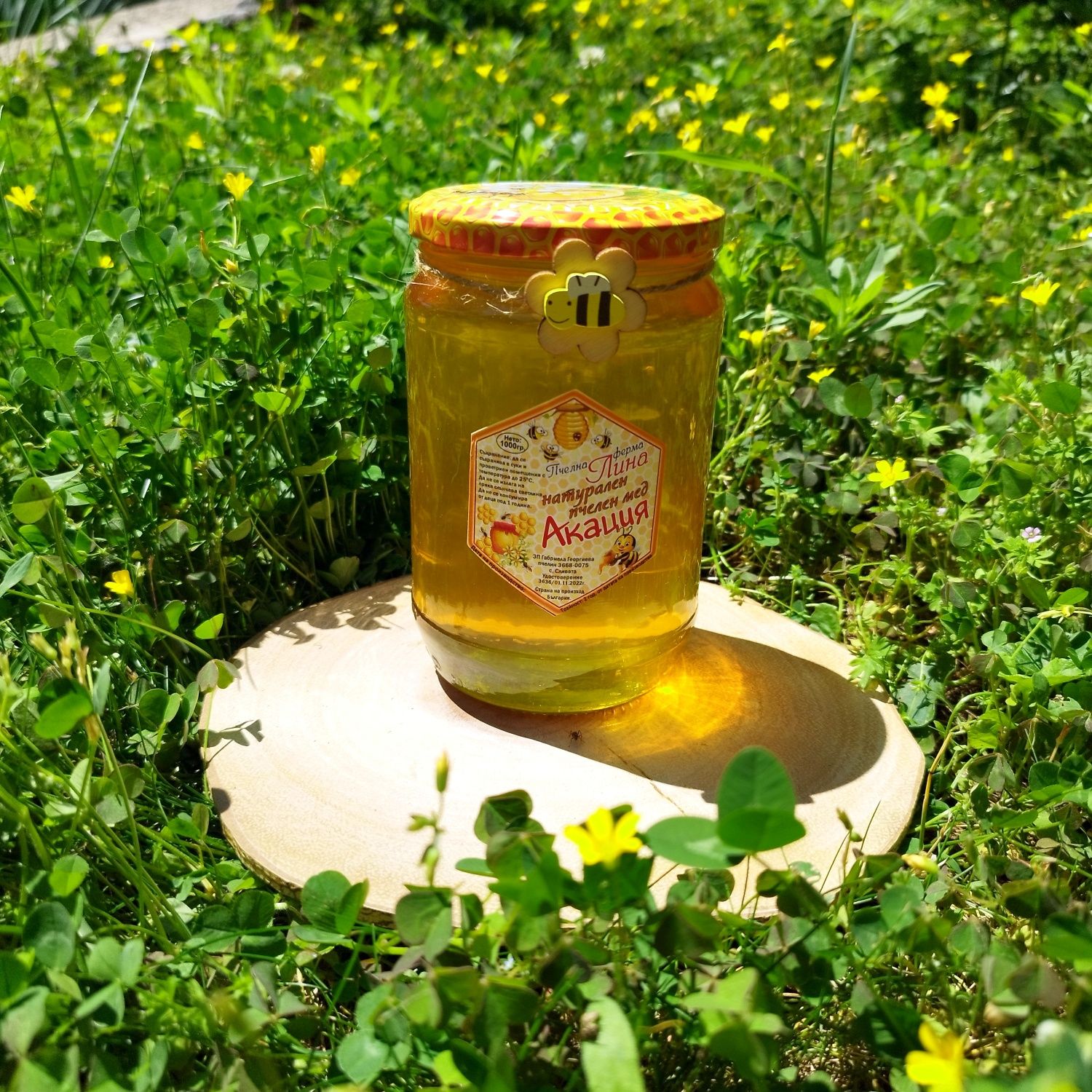 Пчелен Мед и Пчелни продукти директно от пчелина