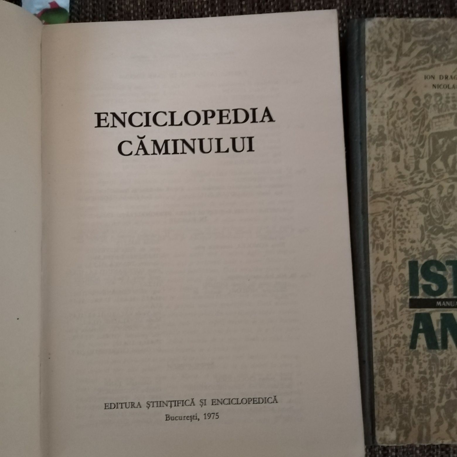 Encicopedia caminului Istoria antica coperti tari