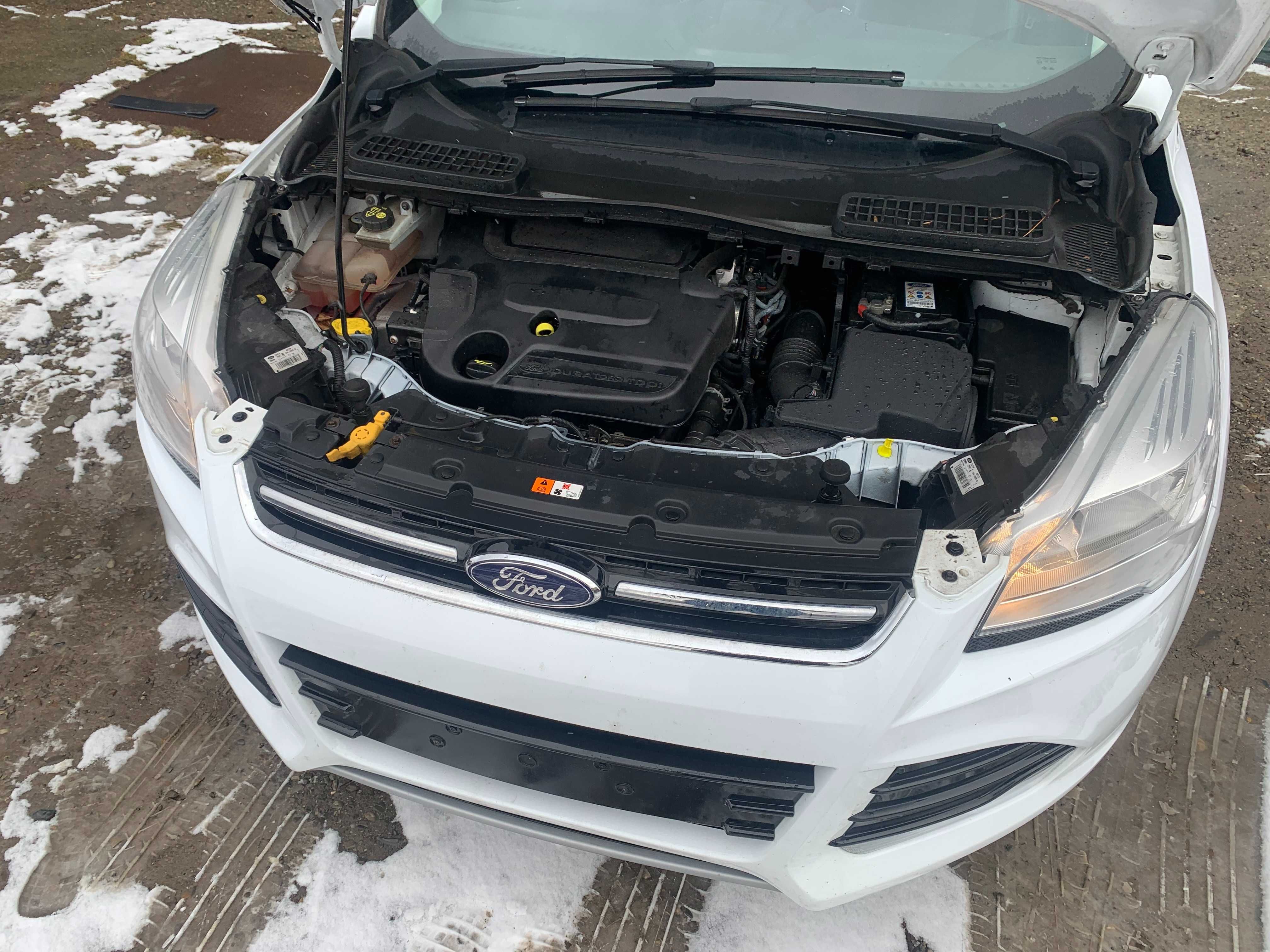 motor 2.0 tdci ford kuga cod TXMA din dezmembrari