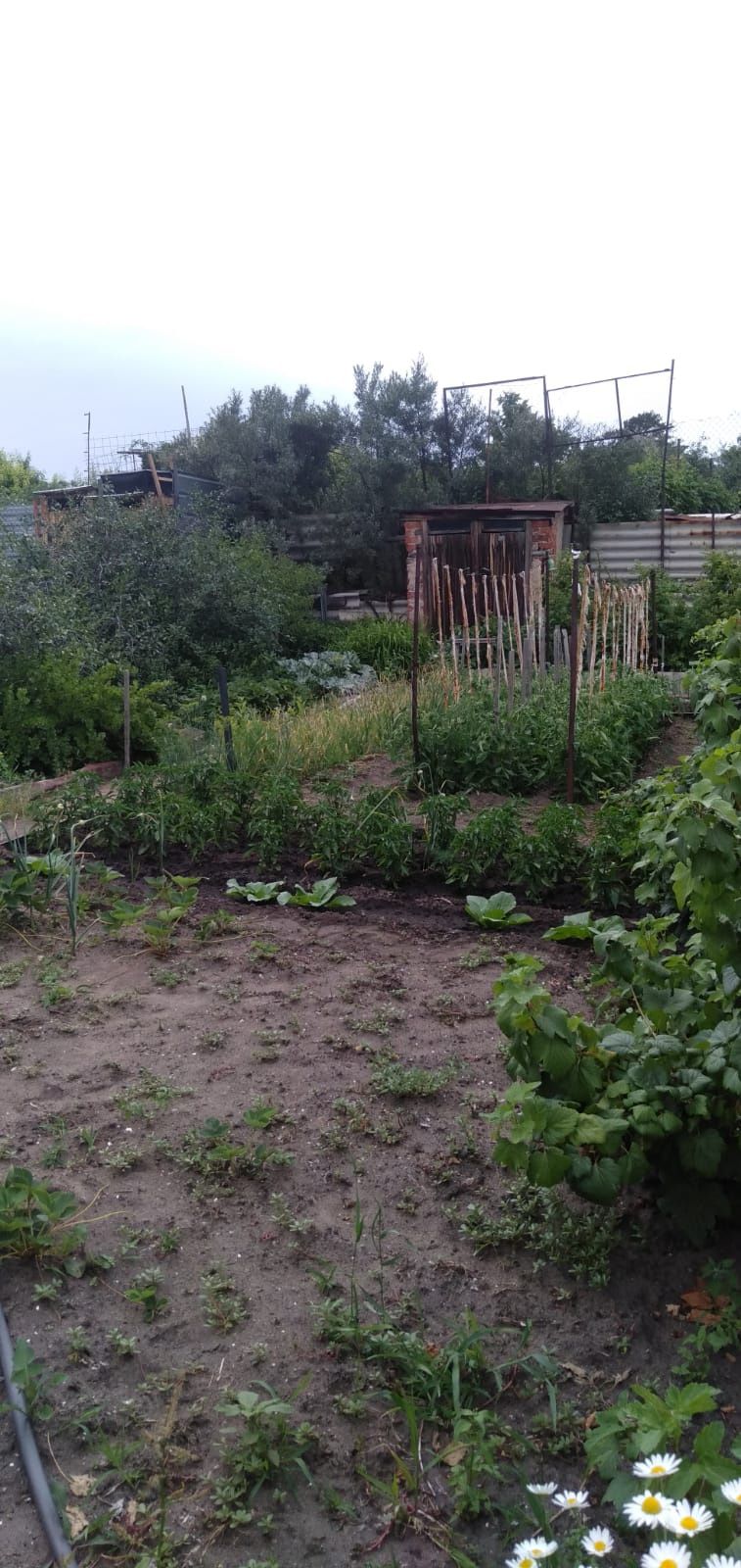 Продам дачу Мичуринец