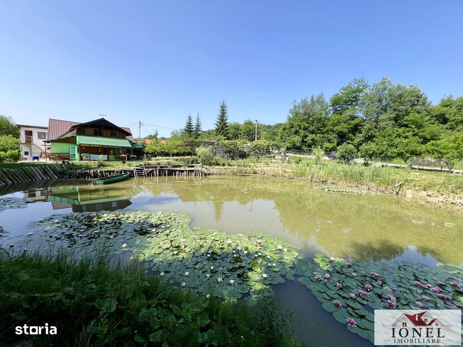 Casa de vacanta cu balta de peste in apropiere de Blaj