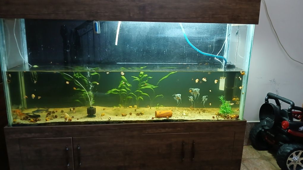 Akvarium sotiladi