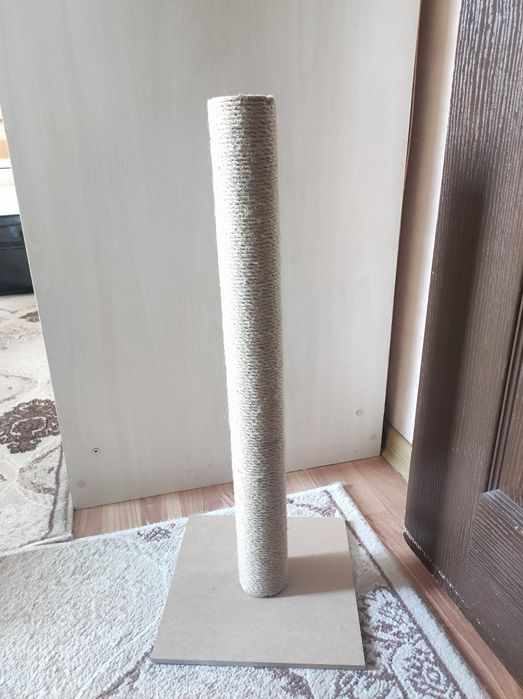 Mushuk uchun o'yinchoq