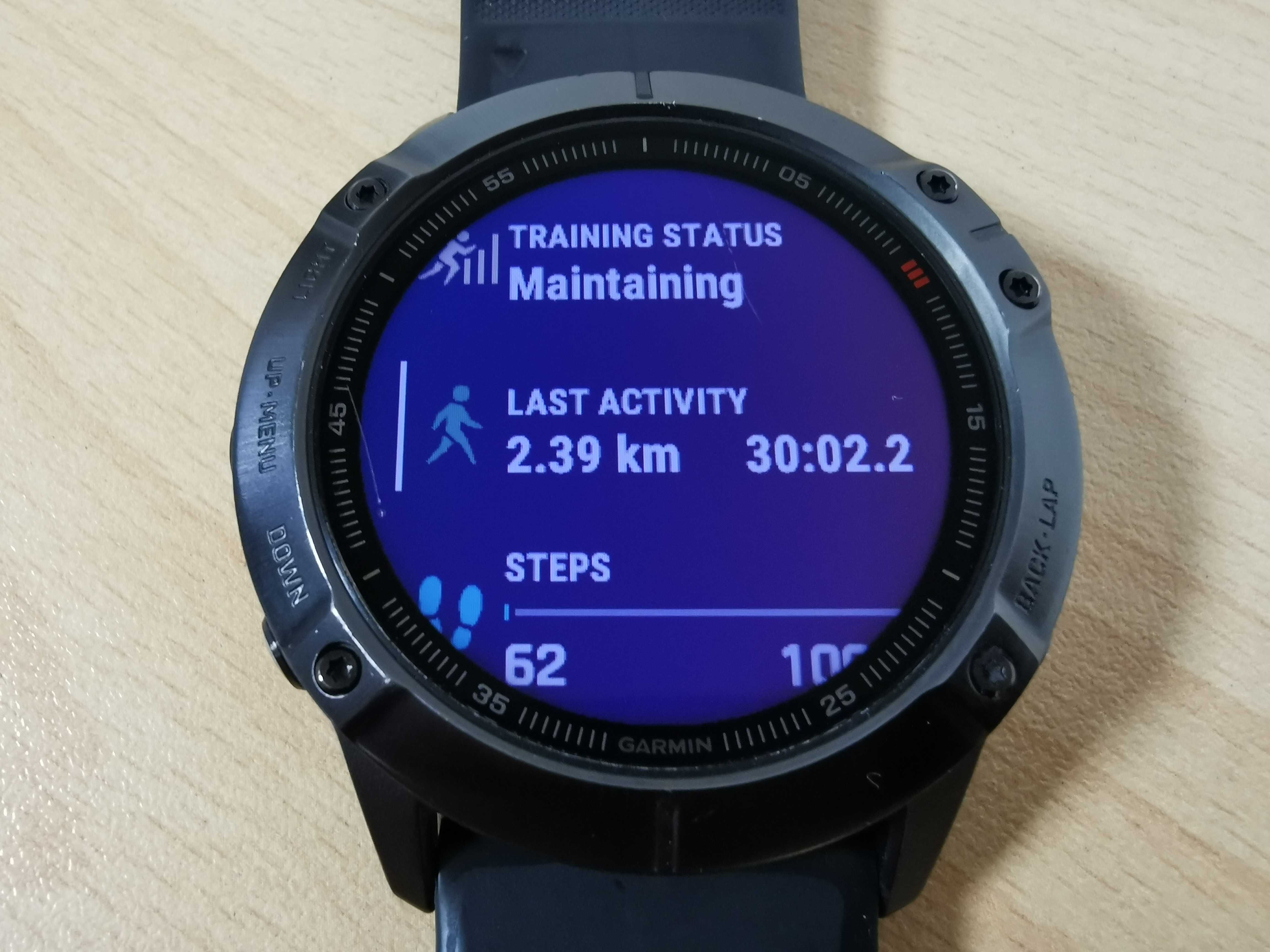 Garmin Fenix 6X Pro smartwatch