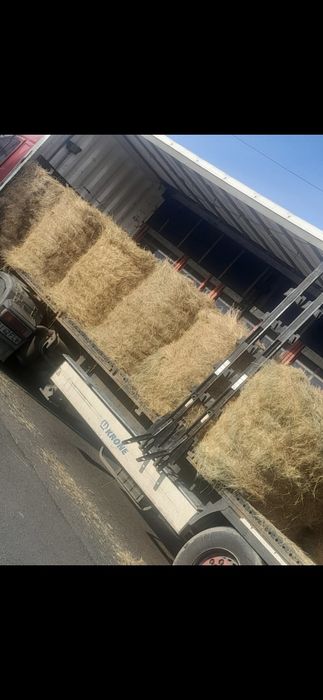 Baloti rotunzi Lucerna sau Fan.min.40.Sau drept.500.La TIR>RO.INCLUS