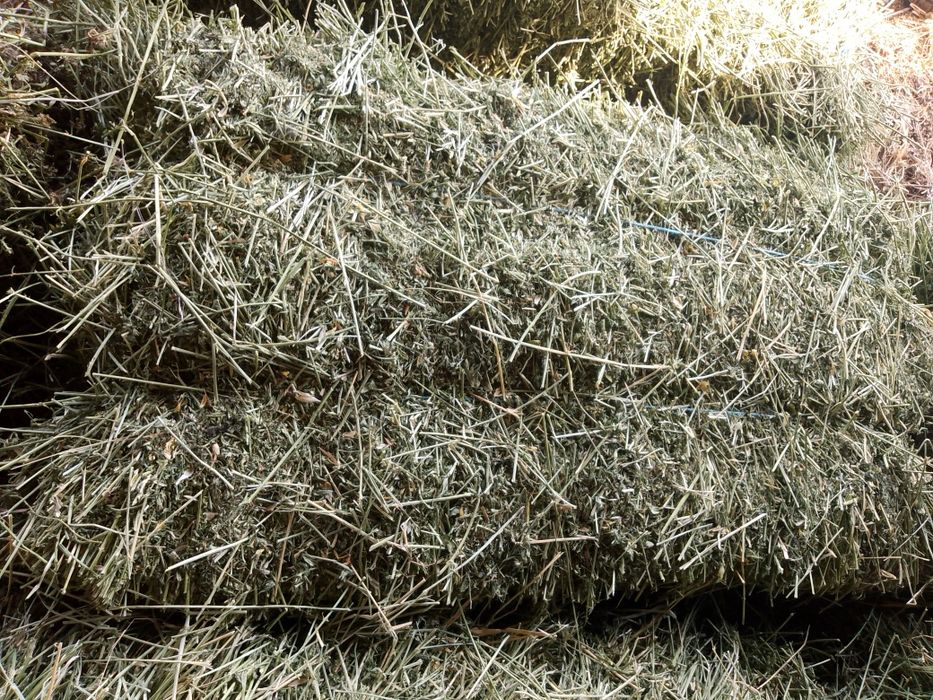 Продавам Бали трета люцерна