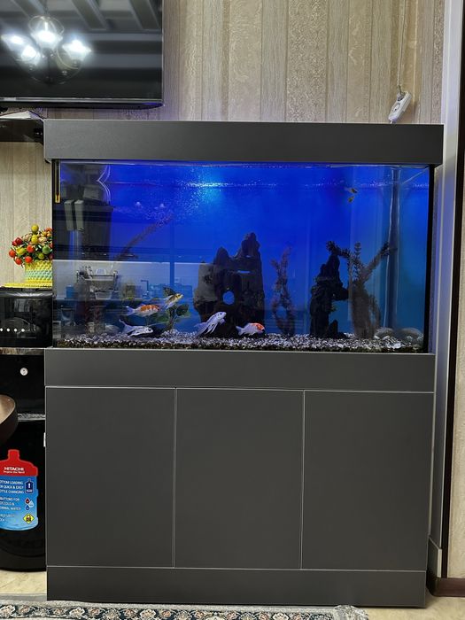 Akvarium 300 litr