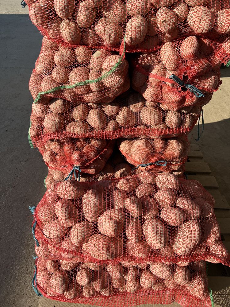 Cartof roșu și alb de consum calibrul 60+